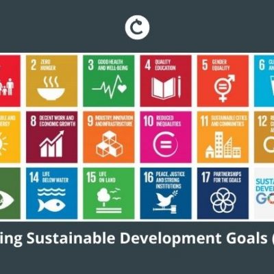 Teaching Sustainable Development Goals (SDGs)
